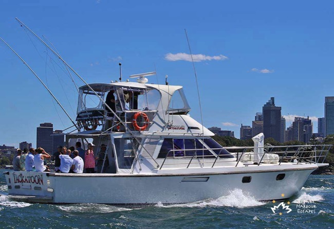 YACKATOON 50' Motor Cruiser Australia Day Charter