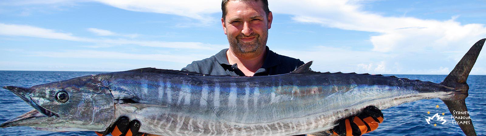 sydney harbour fishing tours